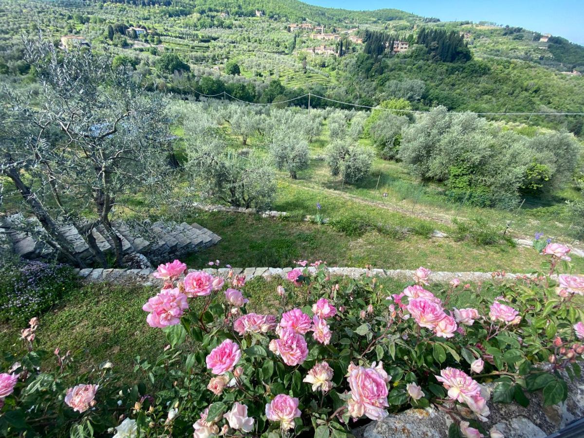Florence Villa Violetta Bagno a Ripoli Esterno foto