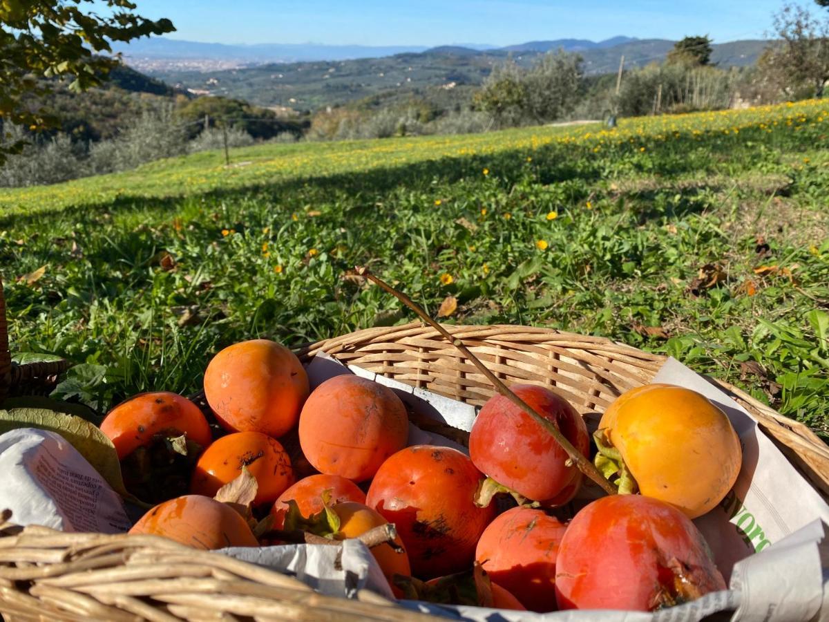 Florence Villa Violetta Bagno a Ripoli Esterno foto