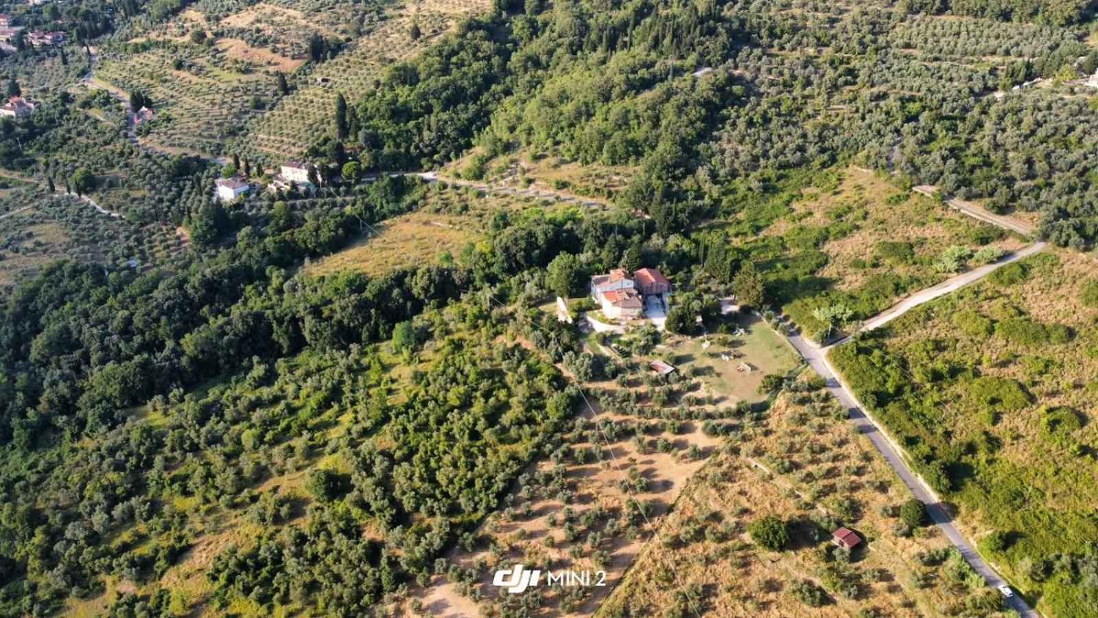 Florence Villa Violetta Bagno a Ripoli Esterno foto